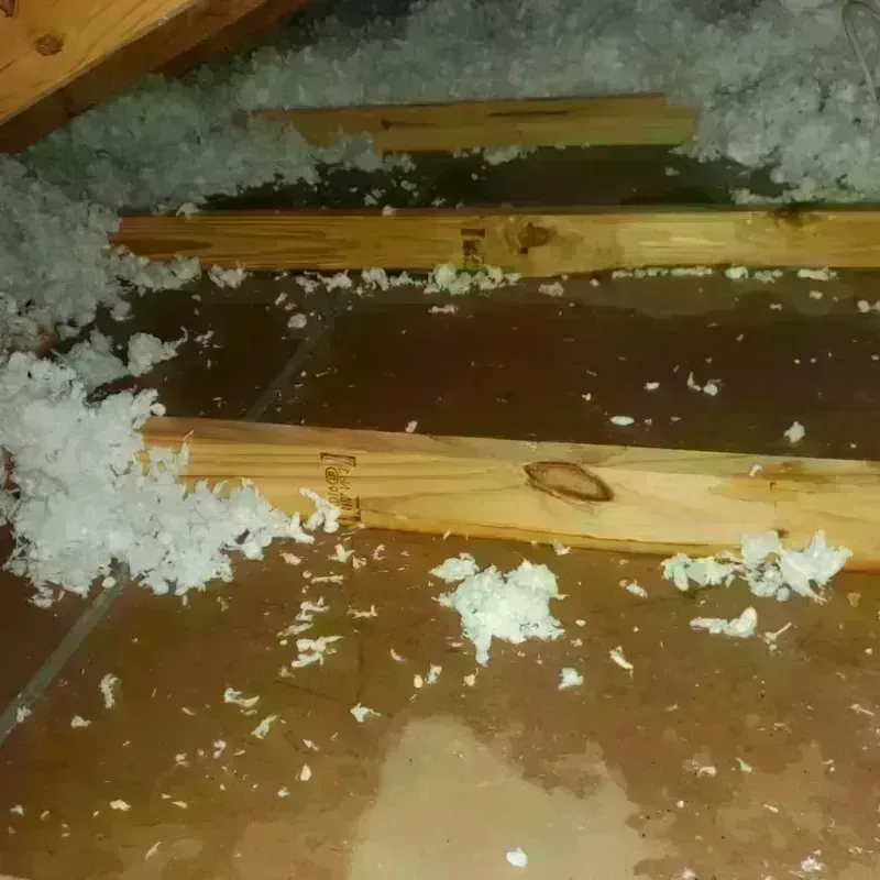 Attic Water Damage in Cutchogue, NY